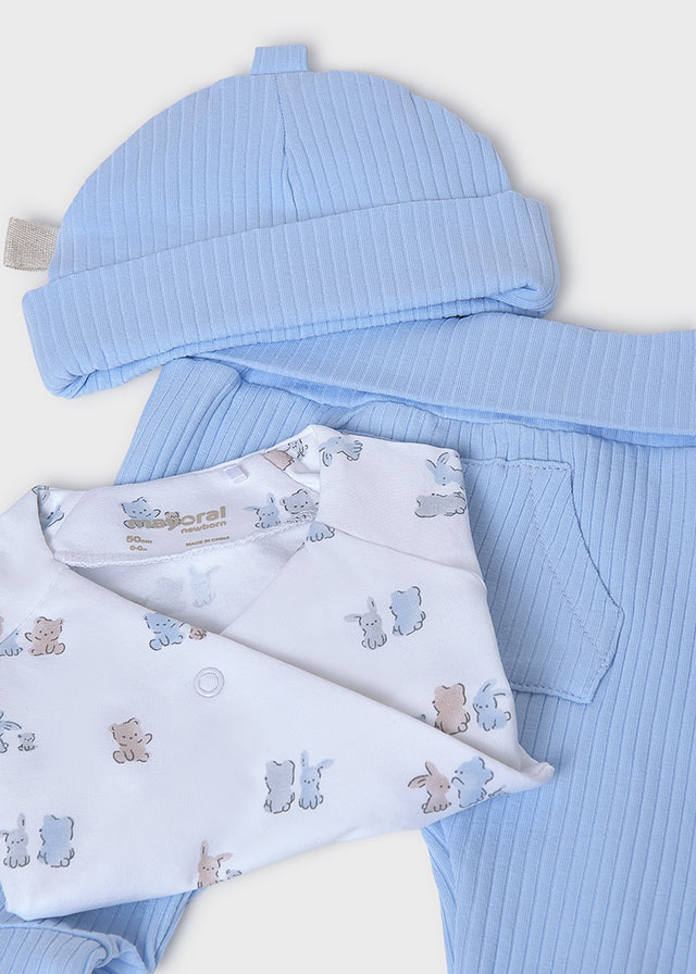 Primeras puestas 9906 61 cielo